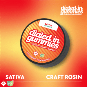100mg honeydew rosin gummies (10pk) dialed in gummies