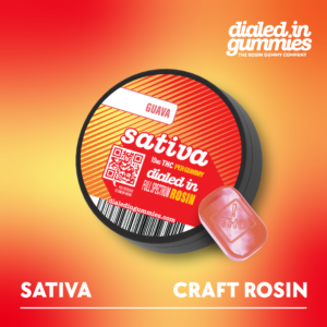 100mg - Guava - Rosin Gummies in colorado dialed in gummies